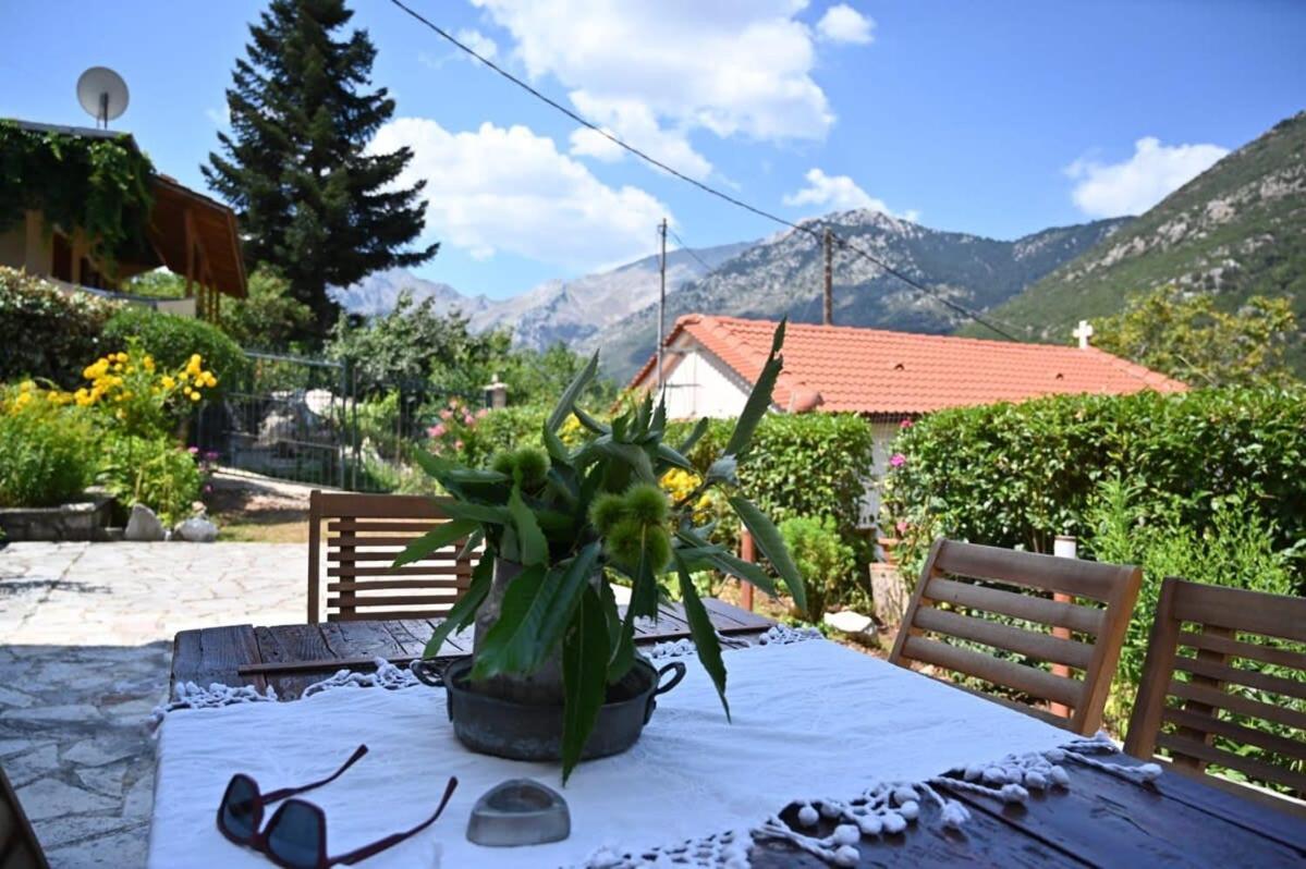 Kalavrita Winter Retreat - Homely Spacious Chalet Áno Vlasía Buitenkant foto