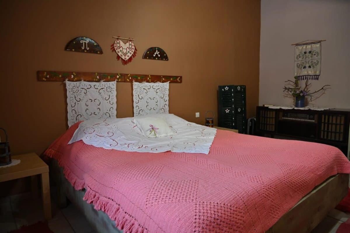 Kalavrita Winter Retreat - Homely Spacious Chalet Áno Vlasía Buitenkant foto