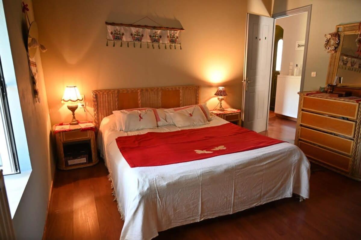 Kalavrita Winter Retreat - Homely Spacious Chalet Áno Vlasía Buitenkant foto